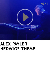 Alex Payler - Electone Player - www.alexpayler.com